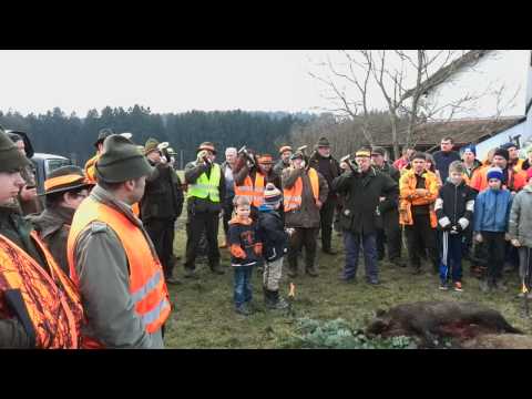 1. Schnaitseer Gemeinschaftsdrückjagd Januar 2014