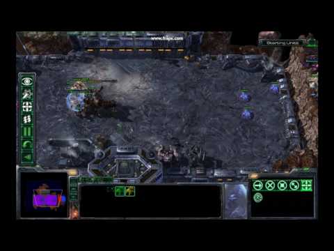 Ultraling vs Immortal