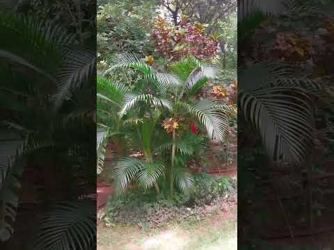 lugar maravilhoso lembrando rio quente 🔥 Goiás