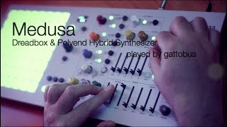 Video thumbnail for Dreadbox & Polyend Medusa - Played by GATTOBUS by gattobus
