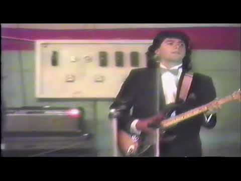 CAPITULO V  EL PAVO Y LA PAVA copiapo