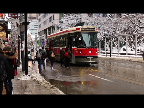 my favorite city