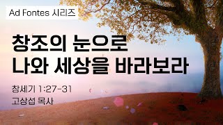 창조의 눈으로 나와 세상을 바라보라