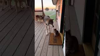 Download lagu 422 full https://youtu.be/HUt5j-7GjhY mp3 Download lagu 422 full https://youtu.be/HUt5j-7GjhY mp3