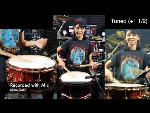 Awesome Snare [Collector Series Neil Peart Time Machine] sound test by Kalonica Nicx