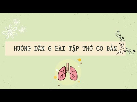 Hướng dẫn 6 bài tập thở cơ bản - Quỳnh's Share
