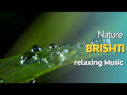 NATURE BRISHTI Video