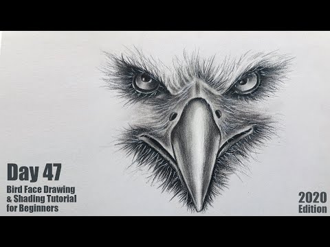Drawing for Beginners Step by Step | Day 011 Part 1 | Basic Pencil Shading Technique Part 1