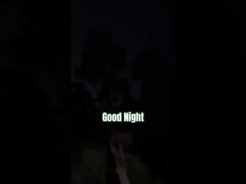 Enjoy Pre-Monsoon Night 🌧️🌙 | Relaxing Nature Vibes | Peaceful Rainy Season Ambience
