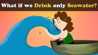 What if we Drink only Seawater? + more videos | #aumsum #kids #science #education #children