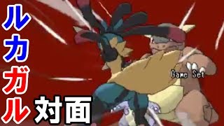 ルカリオ ポケットモンスター グライオン グランブル グラエナ
