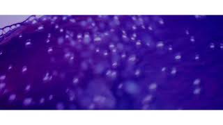 Download lagu LOONA-JINSOUL 'Singing In The Rain' mp3 Download lagu LOONA-JINSOUL 'Singing In The Rain' mp3