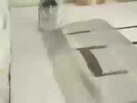 yifat gat / light blue - deep brown