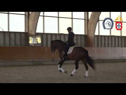 221130 2 Proj Ensino APSL&FEP - João Barbosa com Nápoles do Monte