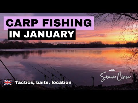 Carp fishing in January