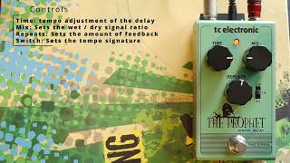 Video thumbnail for TC Electronic The Prophet Digital Delay by Gear Forest