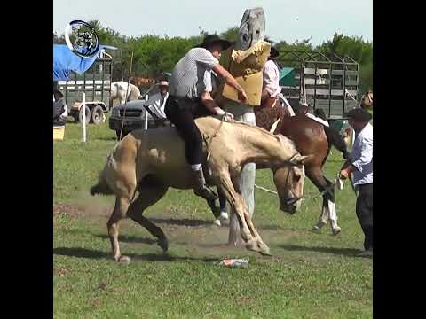 Rueda en clina Lo DIO VUELTA en Campo El Matrero en Macia Entre Rios