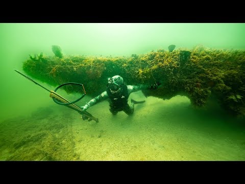 Alla ricerca di pesci giganti sotto le grotte coralline!! (Pesca subacquea) | Jiggin' With Jordan