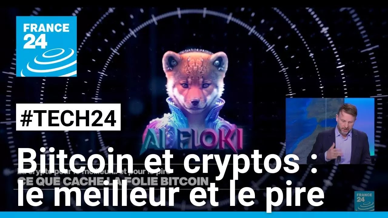 Bitcoin et cryptos : pour le meilleur... et pour le pire ! • FRANCE 24