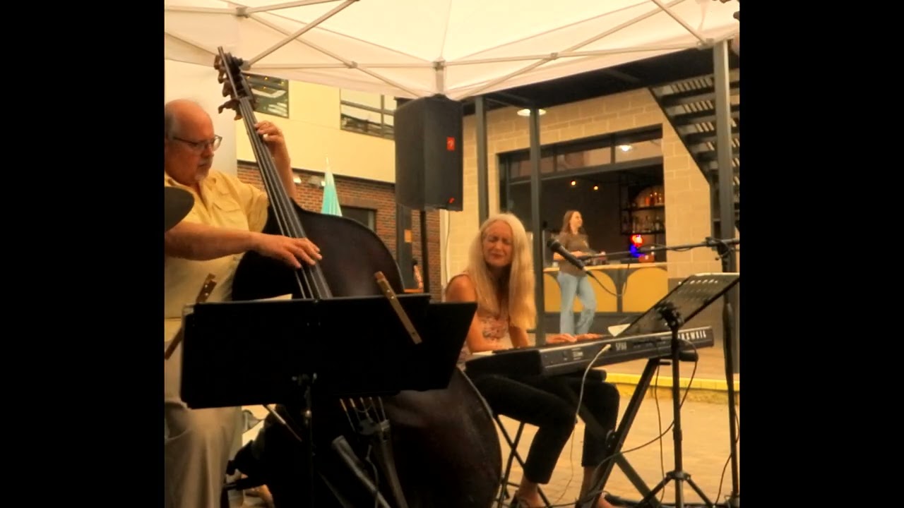 Promotional video thumbnail 1 for Bonnie Lowdermilk solo, duo, trio, 4-tet
