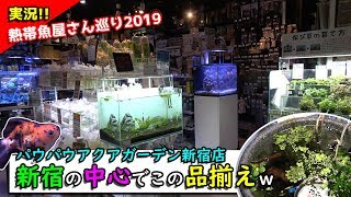 【実況】何回来ても品揃えにビックリさせられるパウパウアクアガーデン新宿店ｗ