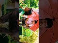 Yaarathu 4K Whatsapp Status 5 1DTS SURROUND WITH 60FPS Kavalan Movie Songs Mounaraagangal