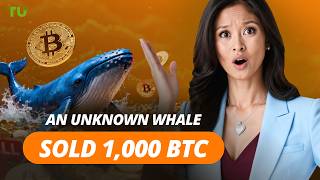 Old whale dumps BTC, FTX pays billions, Algorand cuts 25% — Crypto Digest