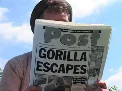 Playway to English 1 video 3 3