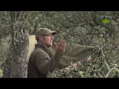 Caza de Torcaces por Juan Escribano de Villanueva de Córdoba, junto a su hijo