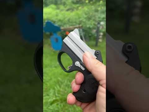 Handheld Shotgun by Bond Arms
