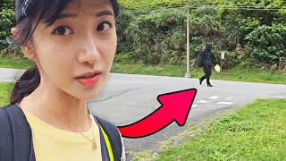 [問卦] 企鵝會加開花蓮臺東綠島澎湖金馬線嗎？