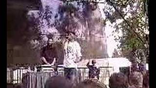 Del - Phony Franchise Live