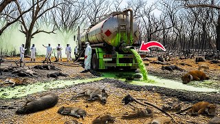 They Laughed As U.S Released Tons Of Toxic Chemicals Into Entire Forests — What Happened Was Insane!