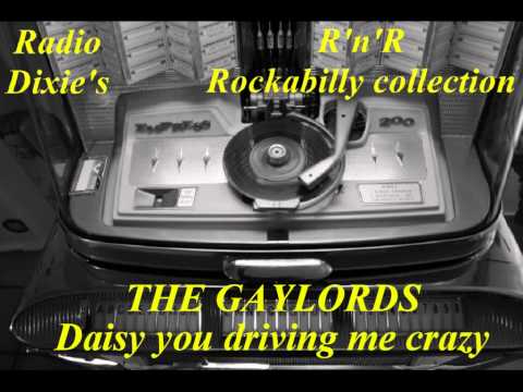 THE GAYLORDS -Daisy you're driving me crazy