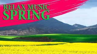 Relax music - Spring | Sleep Music, Music for Stress Relief, Spa, Meditation