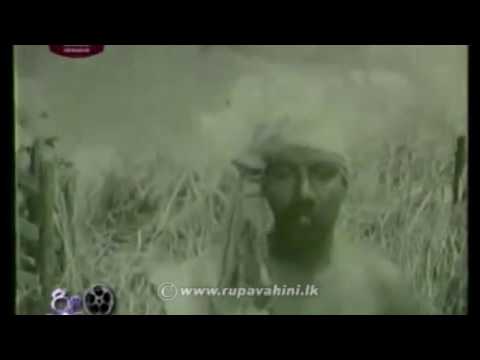 කටේ කිරි සුවඳ යන්නට පවා බැරි උනා - සංදේශය 1960