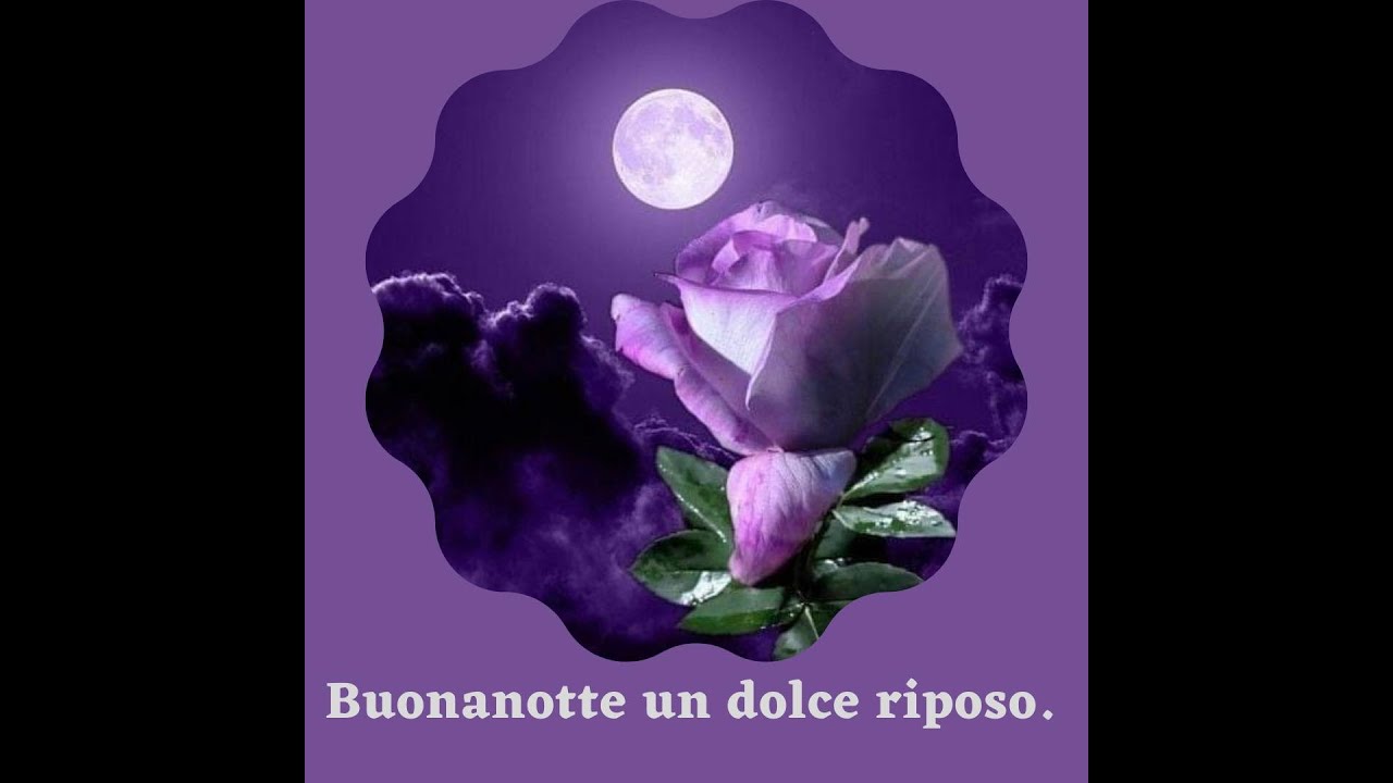 Buonanotte un dolce riposo
