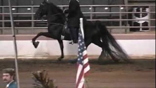 preview picture of video 'JOSE BEAM TENNESSEE WALKING HORSE AT PERRY GEORGIA'