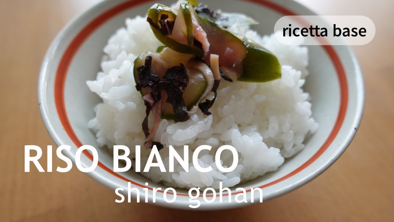 Riso bianco SHIRO GOHAN