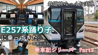 【鉄道旅ゆっくり実況】乗車記シリーズ　Part3～E257系踊り子号 グリーン車に乗ってきた。
