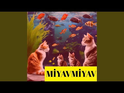 MİYAVMİYAV