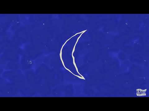 A.A.T (Aquatic Ape Theory) The Lost Tapes