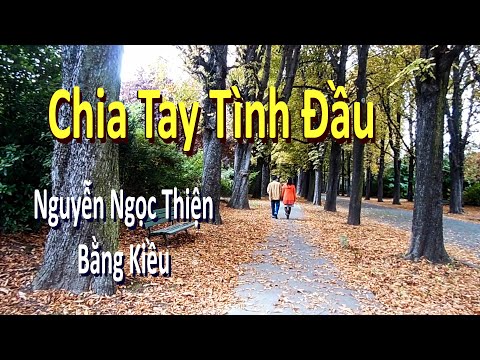 Chia Tay Tình Đầu (Nguyễn Ngọc Thiện - Bằng Kiều)