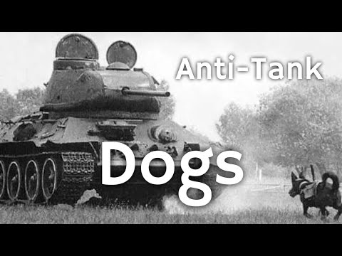 Anti-Tank Dogs | Weird WW2 Bombs