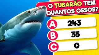 🧠 Quiz de Conhecimentos Gerais | Só 1%  acertam tudo!