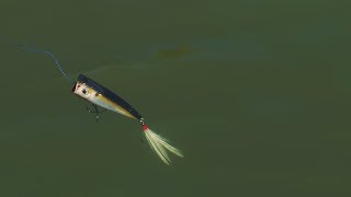 Strike pro top water minnow 70