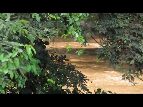 Ribeirão Santa Marta, Iporá-GO. Data: 23-01-2026.