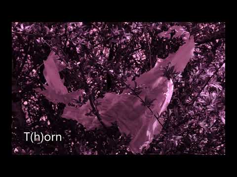 T(h)orn [Ho99o9 type Beat/GHOSTEMANE type Beat/Trap Metal type Beat] (prod. Parakletus)