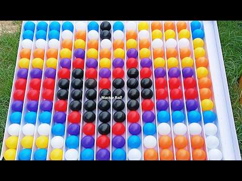 The Ultimate Msog Guide Now