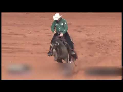 06 CFR Centenário Wimpy